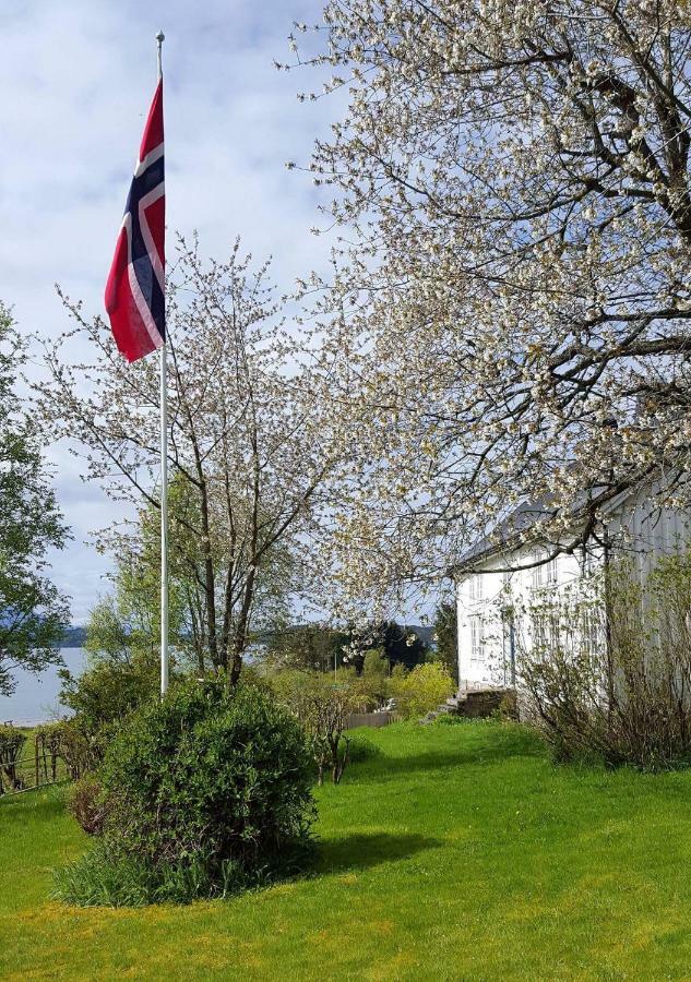 Kjorsvik Ovre Apartment Tornes Exterior photo