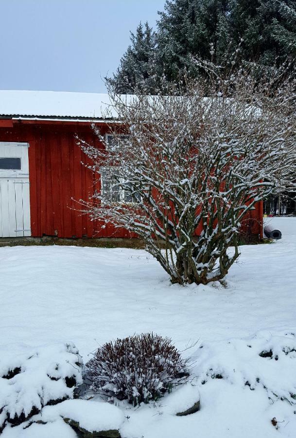 Kjorsvik Ovre Apartment Tornes Exterior photo